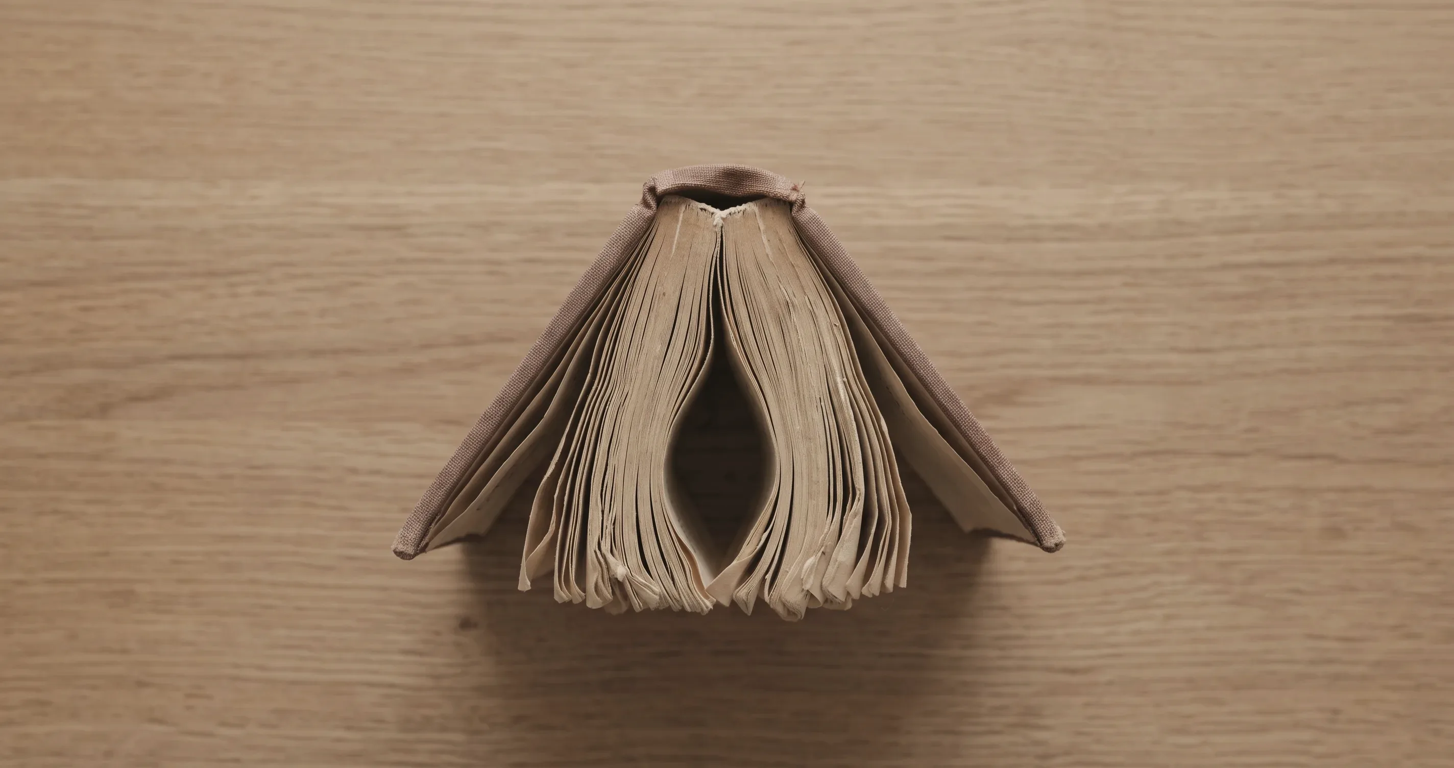 A well-thumbed phrasebook lying face down and open on a table.